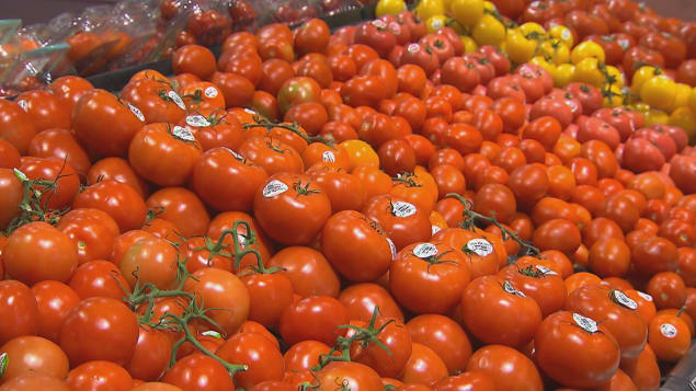 tomates-marche-canada.jpg
