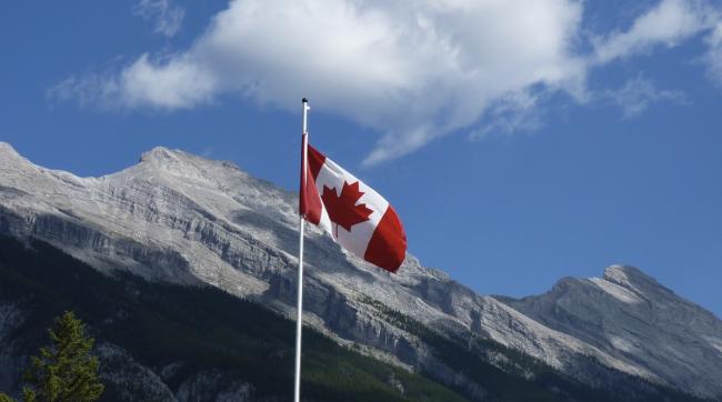 新移民为什么待一段时间会离开加拿大？
