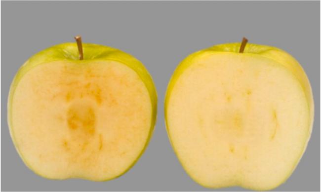 基改水果敢吃吗？不会变色苹果将在加国上架销售