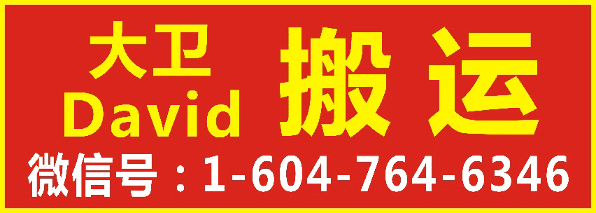 David搬运