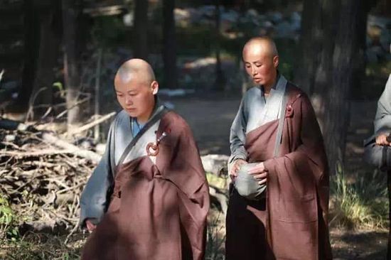 中国真正的尼姑,让人莫名的热泪盈眶