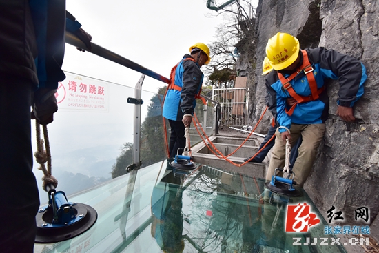 悬崖峭壁上高空作业 天门山玻璃栈道全新换装(组图)