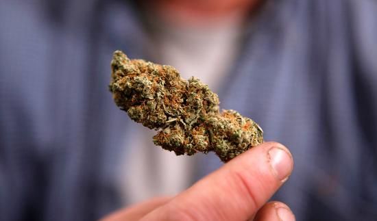 大麻 大麻