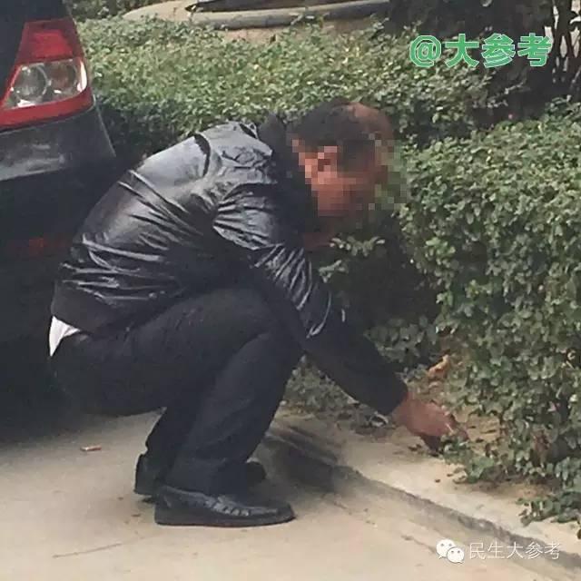 老人跪着吊死在小区树上 儿子被围观者扔鸡蛋