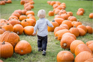 Images-of-children-in-a-pumpkin-patch-Austin-Child-Photographer-Katie-Eaton-Photography-5-300x199.jpg