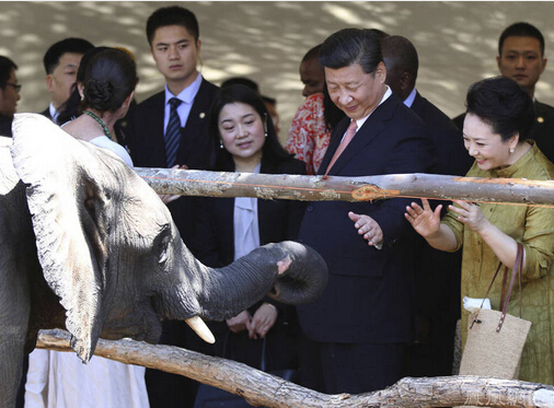 图片