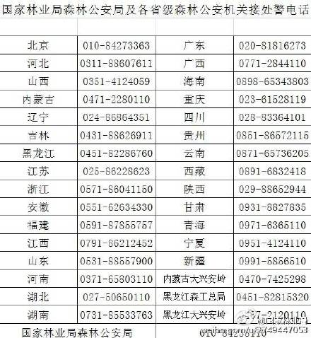 民间的神奇偏方:痔疮和蜈蚣泡酒可治尿毒症