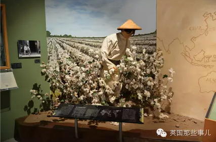 墨西卡拉地下中国城,见证了黑暗反华的历史~