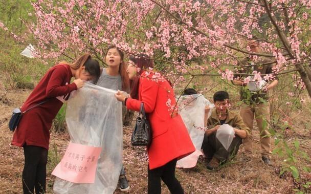 游客“醉了”| 新鲜空气也能卖?广东山民卖空气1袋10元