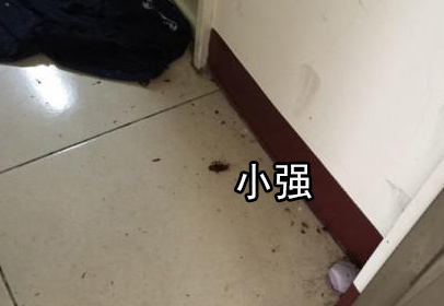 女生邋遢起来到底有多可怕？
