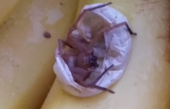 6_1QHT448_2.jpg