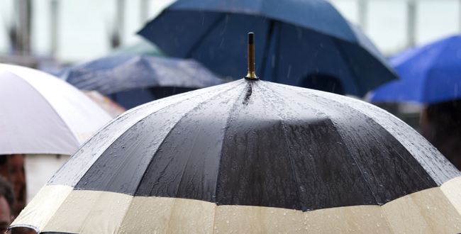 rainy-day-umbrellas-984x500.jpg