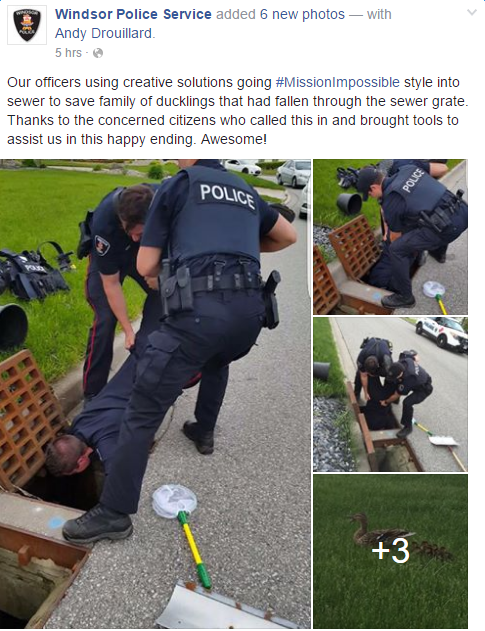 22_14033Q55.png