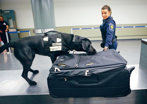 tsa02p04280816.jpg
