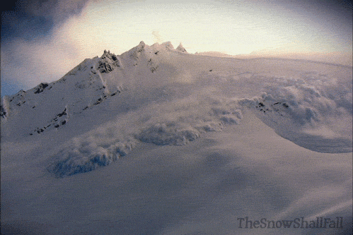 20160823_14719883655234.gif