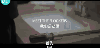 点击查看大图 图片