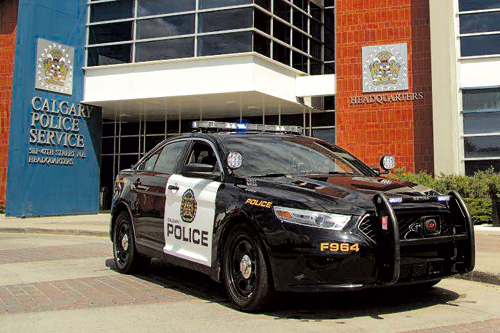 CAL-10-0615.jpg