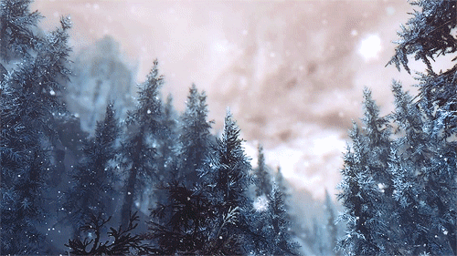 tumblr_n8opg8pMkR1t19jpho1_500.gif