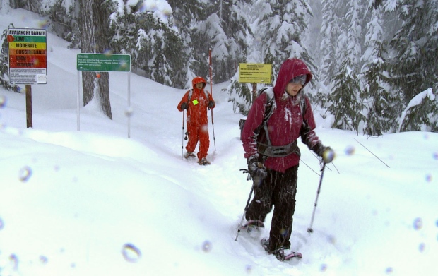 snowshoers.jpg