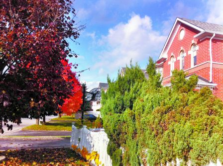 2011103121583938.jpg