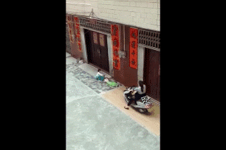 6fe36f8de91429a19d547ea57de791b7.gif