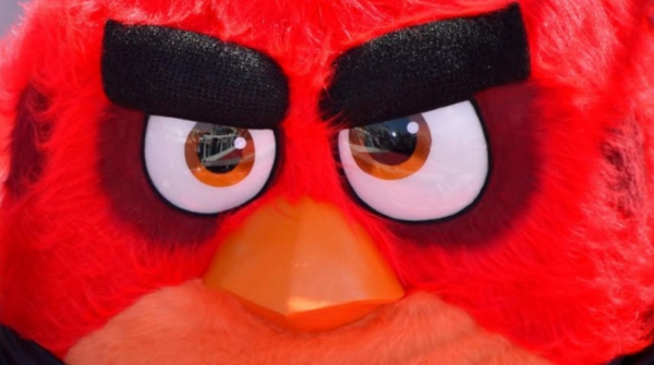 xzwa6usvyd2v.png