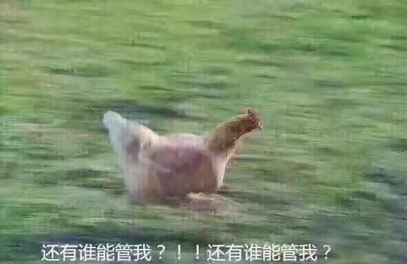 笑到天崩地裂，大鲨鱼奥尼尔对微博到底有什么误解？