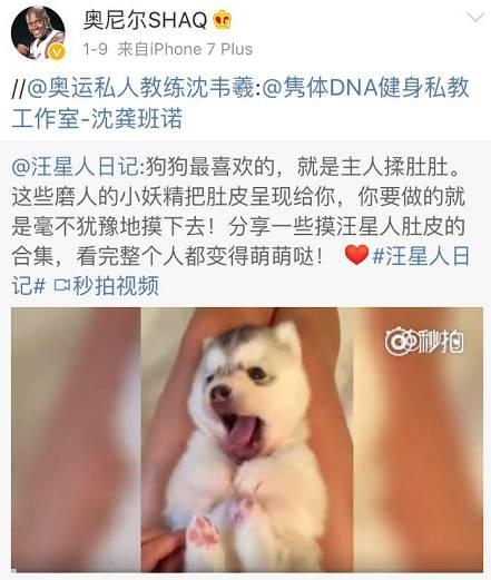 笑到天崩地裂，大鲨鱼奥尼尔对微博到底有什么误解？