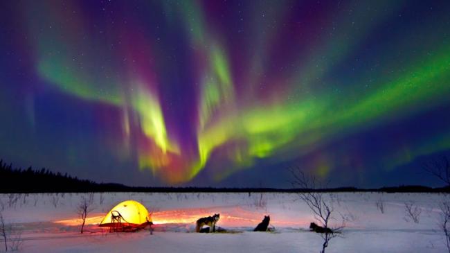northern-lights-huskies_fe.jpg