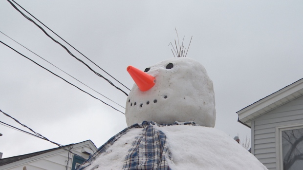 Snowymandias