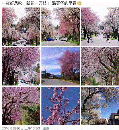 Capture2.GIF