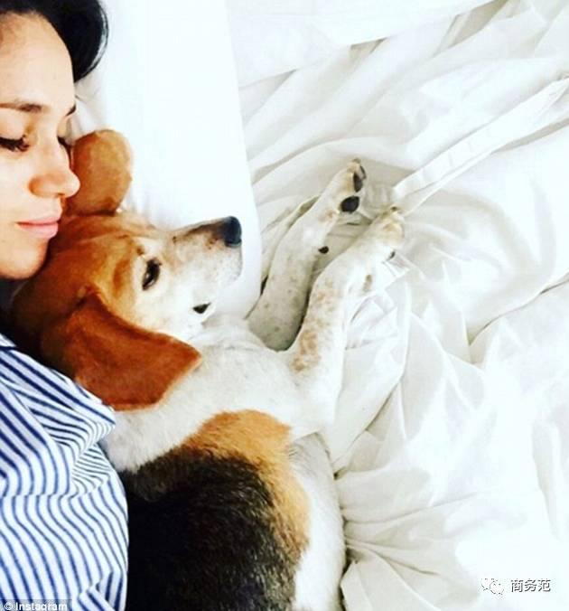 为什么凯特王妃妹妹Pippa说，婚礼不请哈里王子女票来？