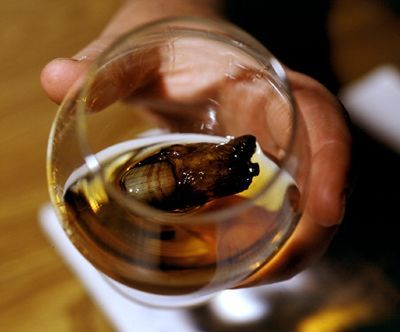 sourtoecocktail.jpeg