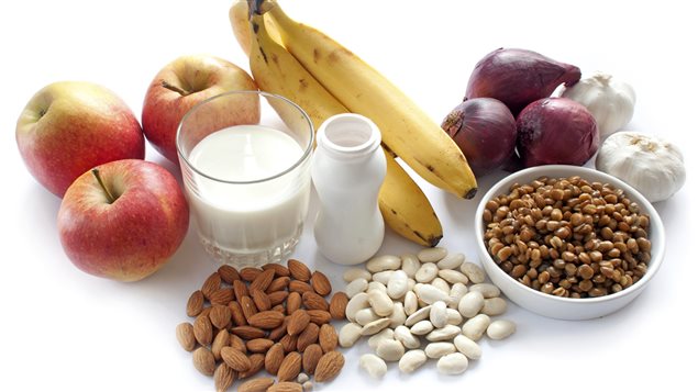 151028_39824_bdsa_aliments-probiotique_sn635.jpg