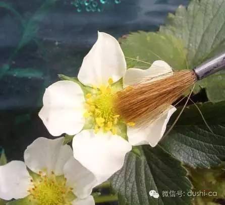 3774dbf38a55448c96d44cd751c17562_th.jpg