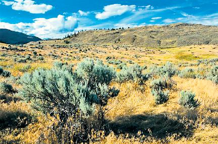 osoyoos-desert.jpg