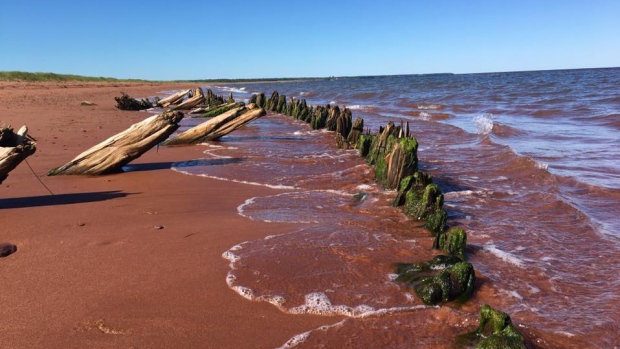 Ellen MacLeod noticed this mysterious collection of wood last Sunday. She's contacted two historians to try to figure out what it could be.