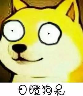 “不按我说的做，小心遣返你……”“呸！骗子！”