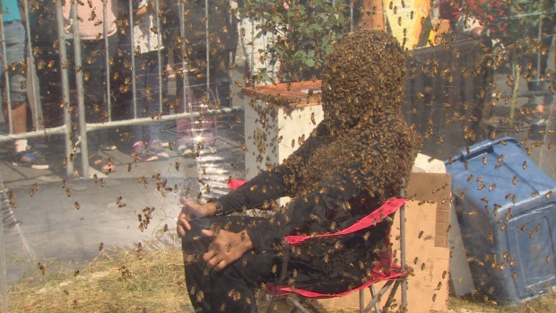 Juan Carlos Noguez Ortiz practised the bee-beard stunt only twice ahead of the Guinness world record attempt on Wednesday.<p>