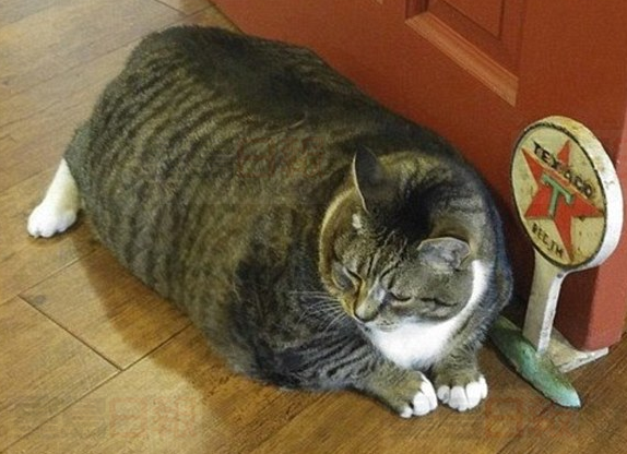 20171128115154.png