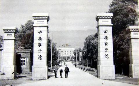 西南农学院老校门 注:这里走出了“杂交水稻之父”袁隆平、“戈壁滩上的明珠”吴明珠两位农学院士