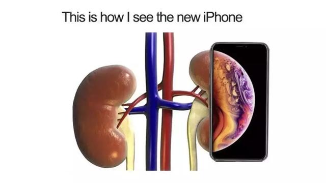 iPhone卖不动，苹果终于作死自己了？