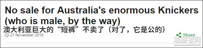 点击查看大图 图片