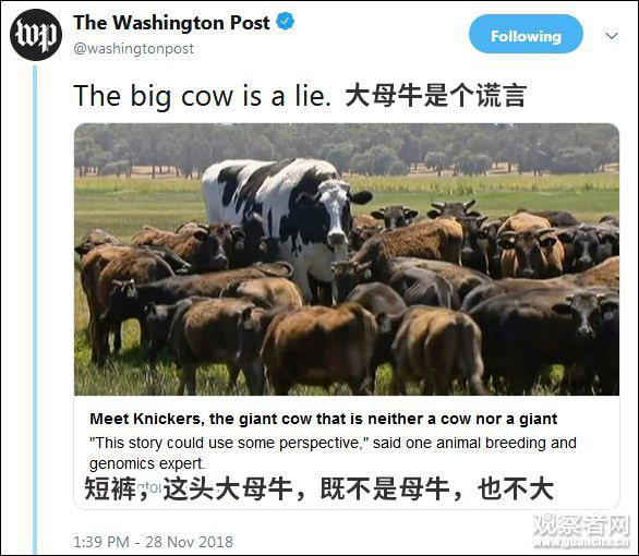点击查看大图 图片