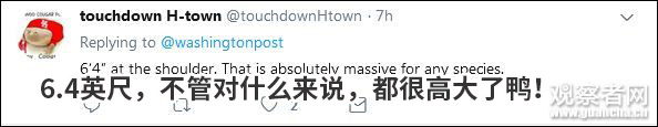 点击查看大图 图片
