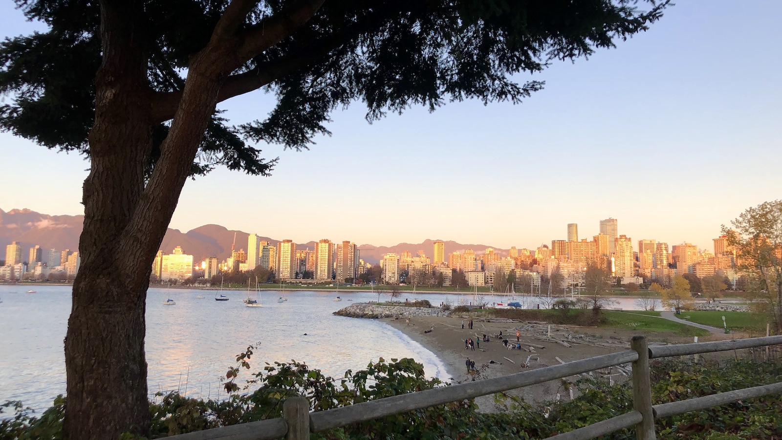 Prise de vue Ã  partir d'une piste cyclable de Kitsilano, on peut y voir un arbre en avant plan, un peu plus bas une plage. De l'autre cÃ´tÃ© de la baie, on y voit le quartier West End de Vancouver et les montages en arriÃ¨re-plan. Belle lumiÃ¨re sur les Ã©difices.