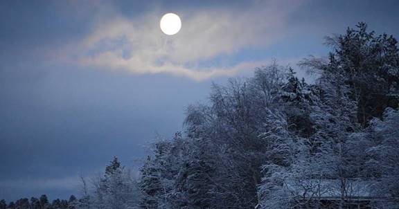 A Rare Super Snow Moon Will Be Visible From Canada Next Week featured image