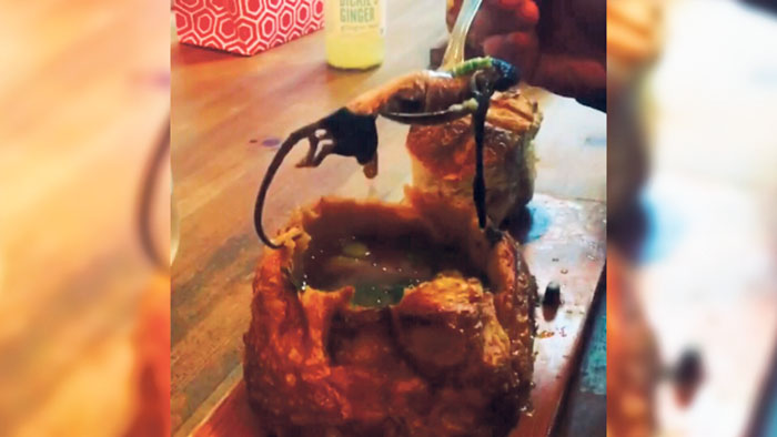 ■Instagram的一段视频显示，一只老鼠从热汤中被取出。Instagram图片