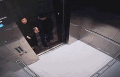 1556200359531496.gif