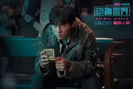 图片